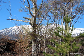 Monte Nero